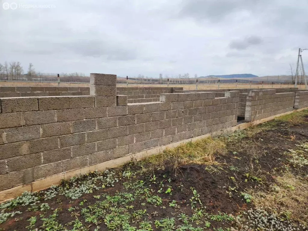 Участок в Туймазинский район, Ильчимбетовский сельсовет, село Япрыково ... - Фото 2