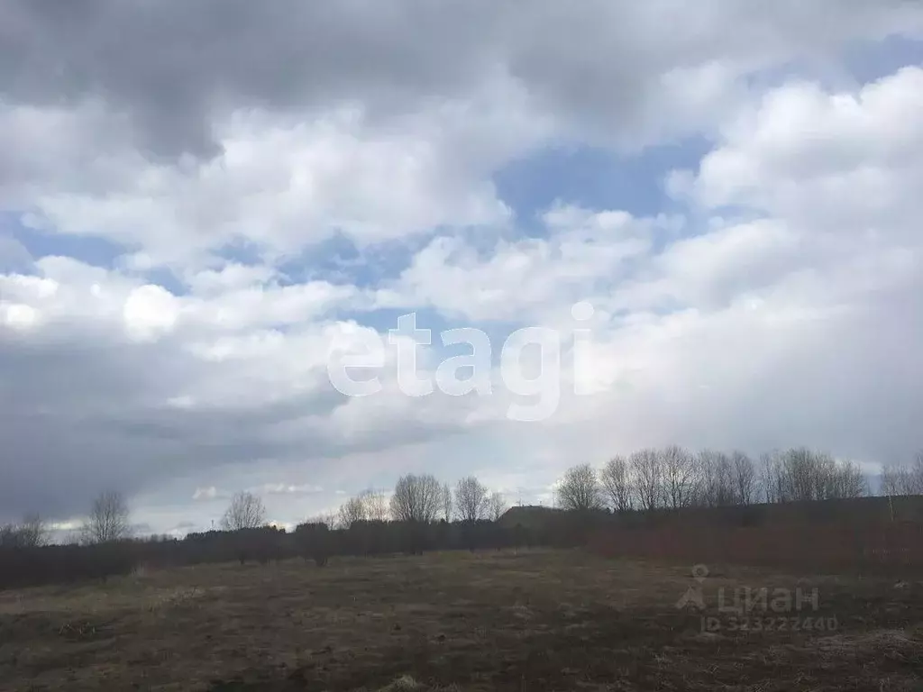 Участок в Вологодская область, д. Стризнево (Старосельский сельсовет) ... - Фото 2