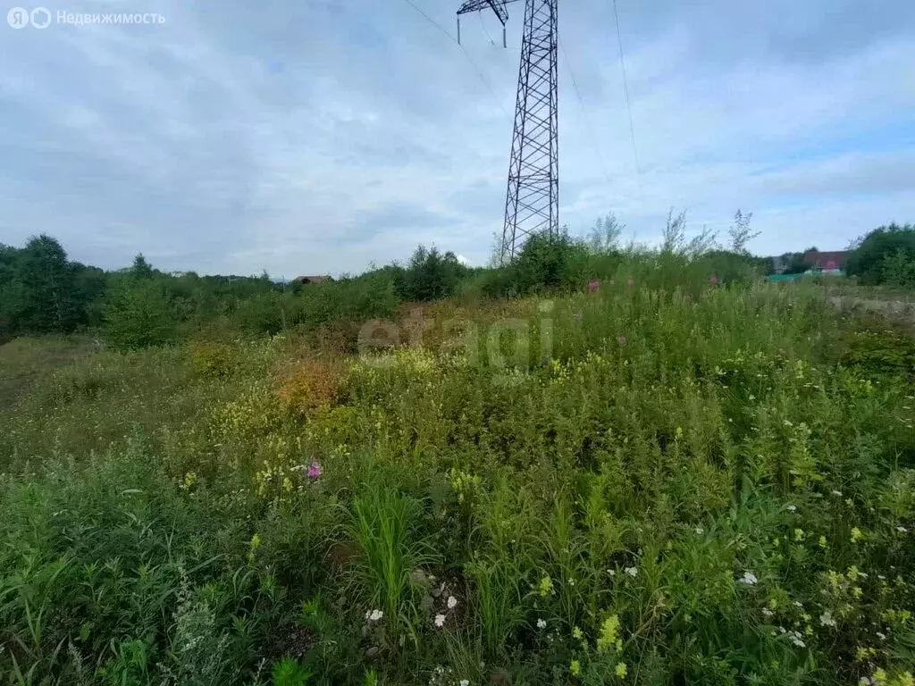 Участок в Светлый, микрорайон Молодёжный (10 м) - Фото 1
