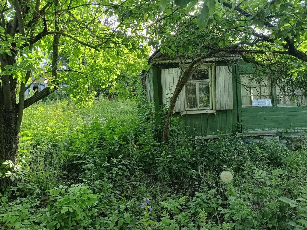 Дом в Самарская область, Самара Ракитовские Дачи-1 СНТ, ул. 19-я, 3 ... - Фото 2