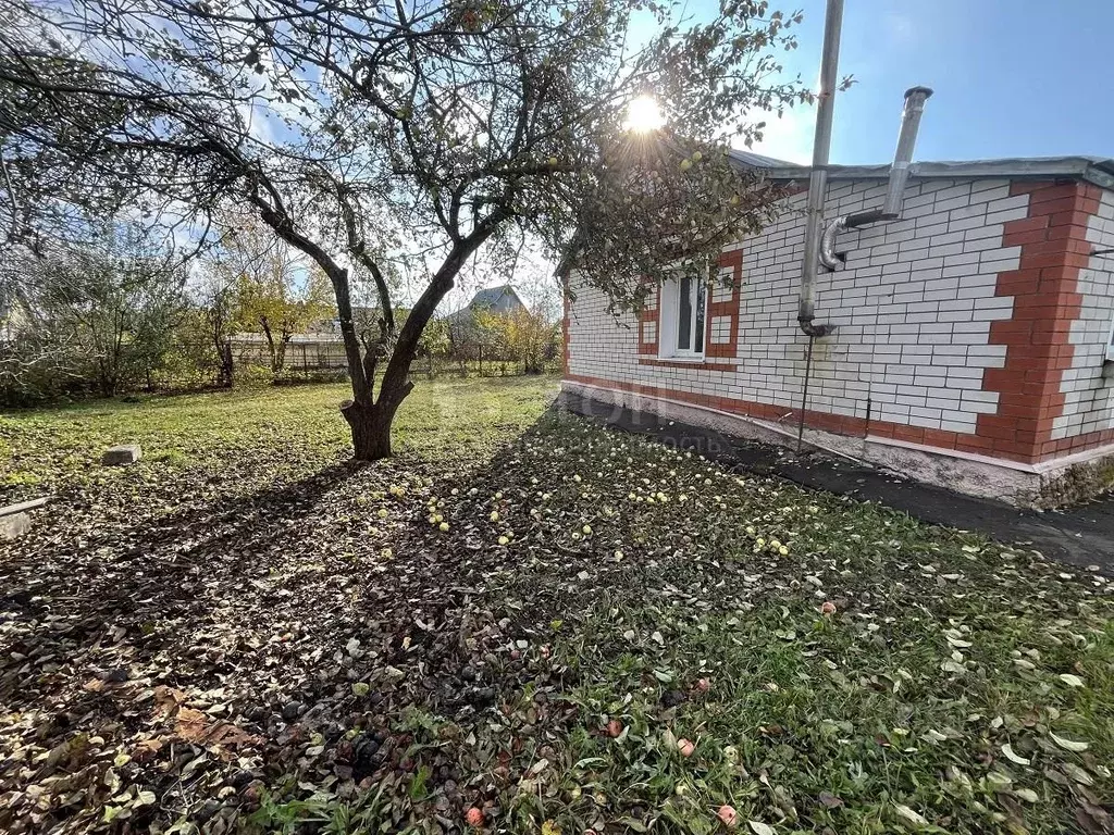 Дом в Пензенская область, Башмаково рп ул. Коммунальная, 2 (60 м) - Фото 1