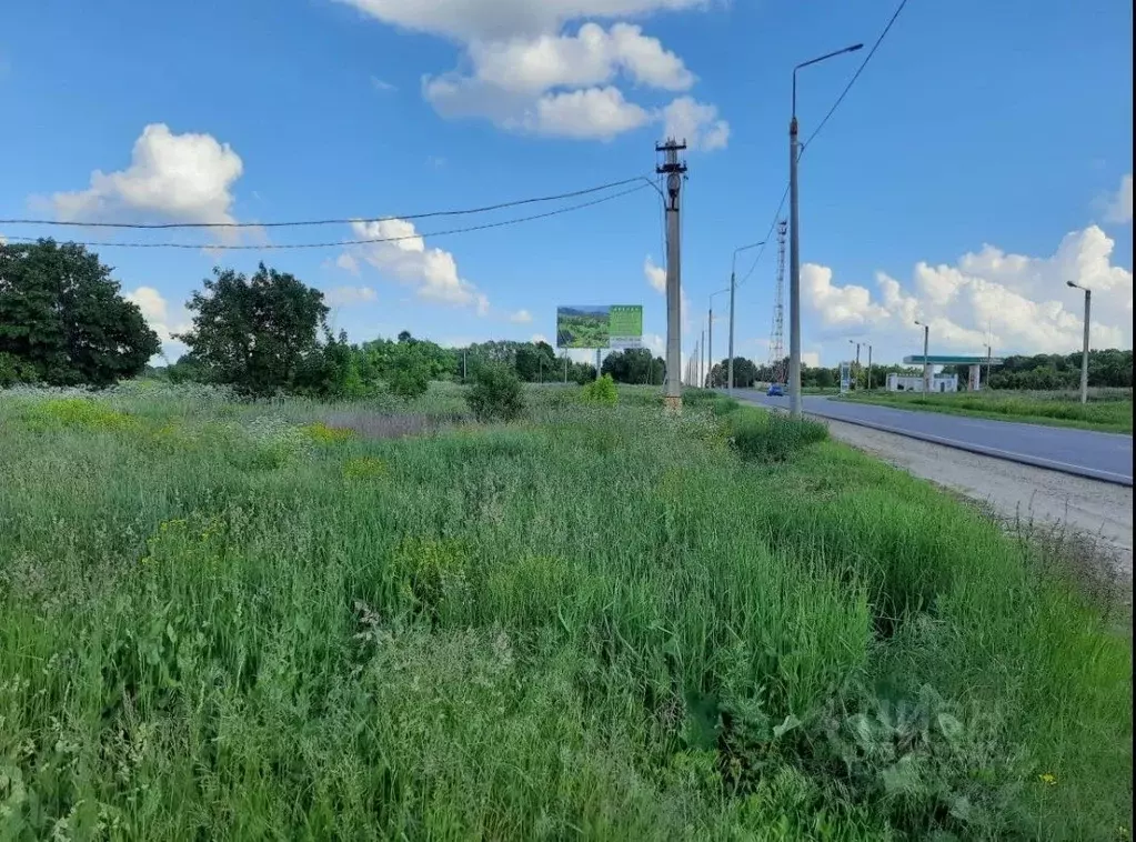 Дом в Тульская область, Ефремовский район, д. Большие Медведки  (80 м) - Фото 1