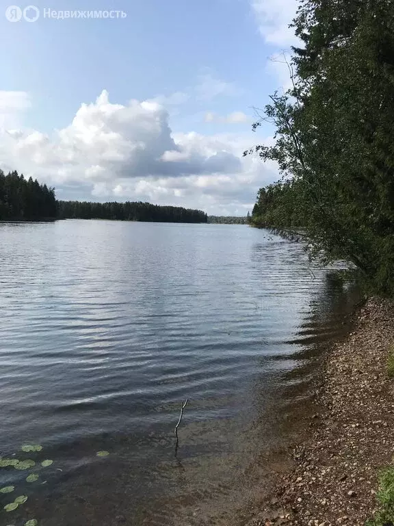 Дом в Костковское сельское поселение, садоводческое товарищество ... - Фото 0