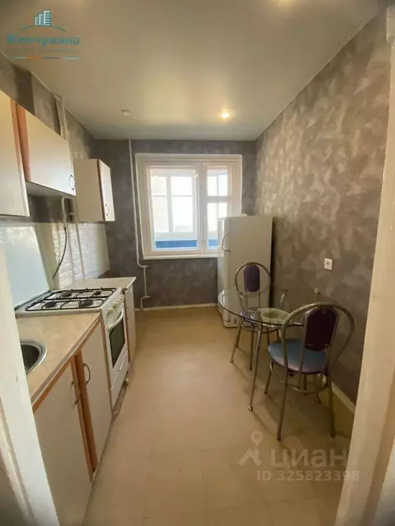 1-к кв. Ульяновская область, Димитровград Восточная ул., 42 (35.0 м) - Фото 1