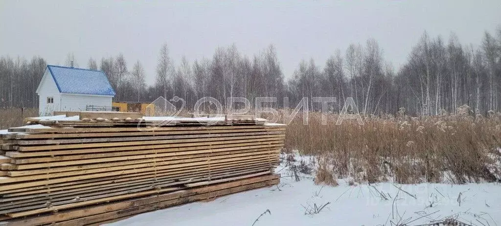 Участок в Тюменская область, Тюмень Автомобилист СНТ, ул. Черемуховая ... - Фото 2