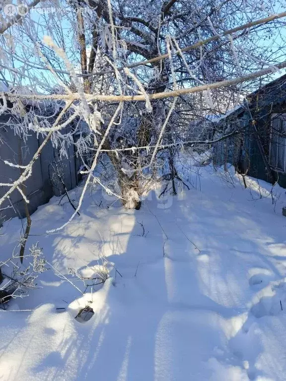 Участок в Черепаново, Интернациональная улица (6.5 м) - Фото 1