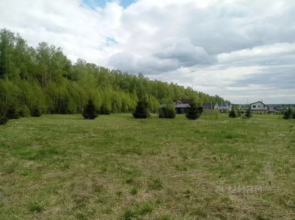 Участок в Московская область, Чехов городской округ, Святая Гора ДНТ ... - Фото 1