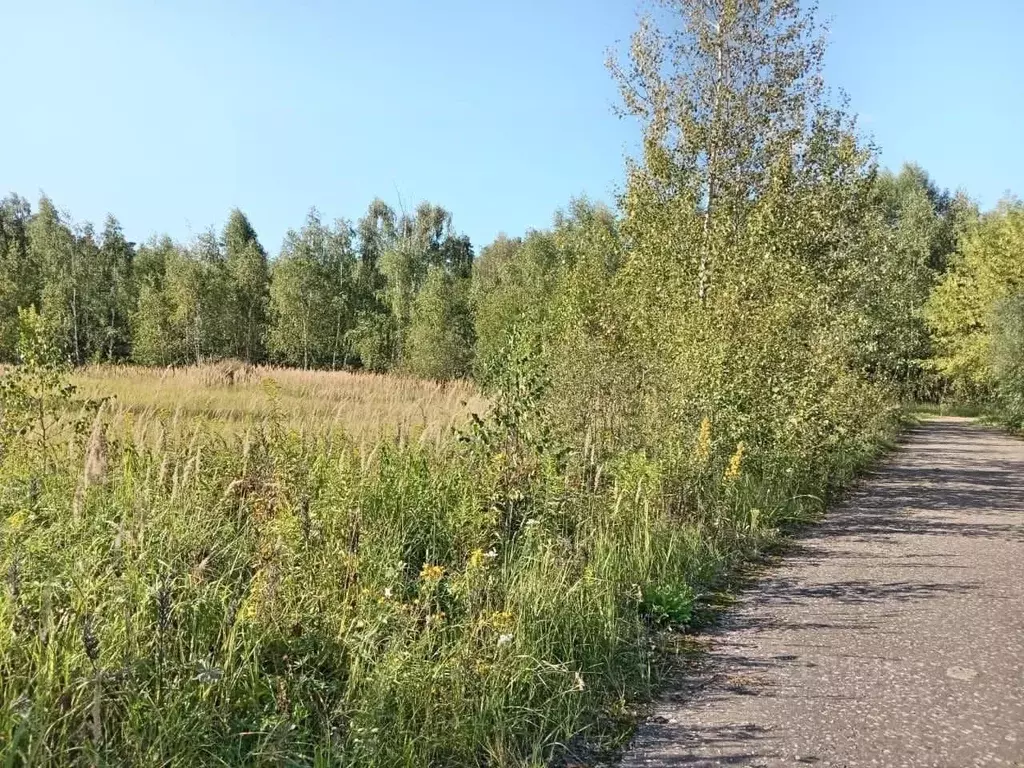 Участок в Московская область, Пушкинский городской округ, Черкизово дп ... - Фото 1