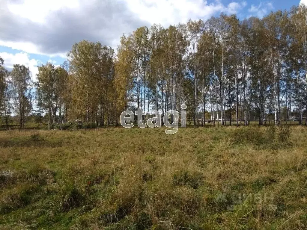 Участок в Свердловская область, Ревда городской округ, пос. Ледянка .,  Купить земельный участок Ледянка, Свердловская область, ID объекта -  20005342797