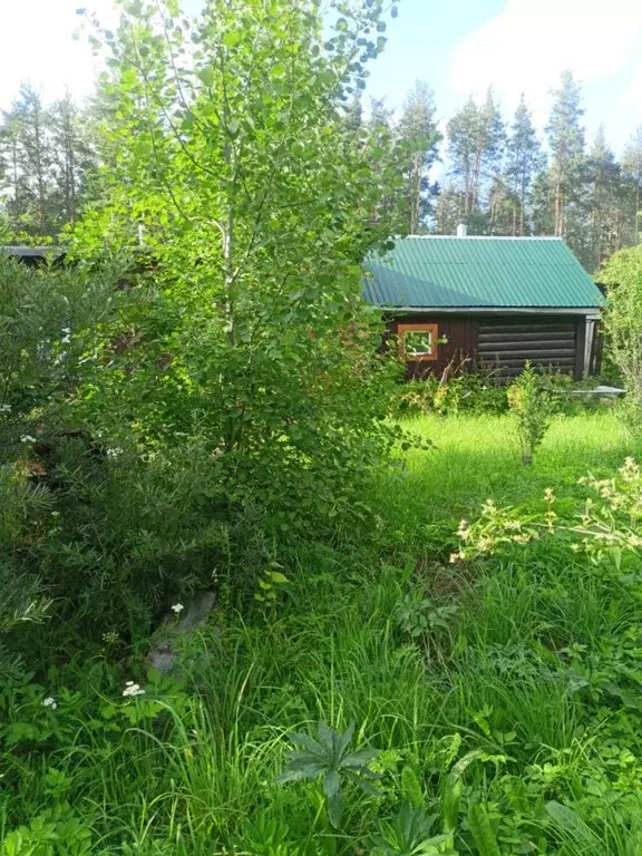 Дом в Свердловская область, Екатеринбург (30 м) - Фото 0