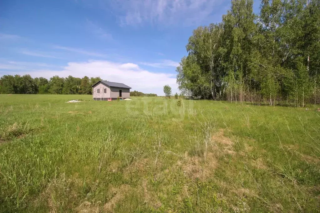 Участок в Алтайский край, Первомайский район, с. Фирсово ул. Кедровая ... - Фото 1