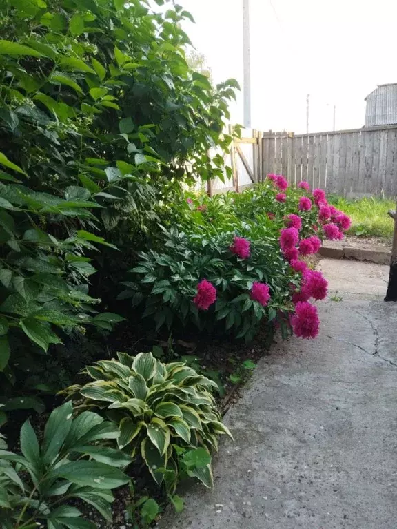 Дом в Пермский край, Пермь Дивьинская ул., 88 (136 м) - Фото 2