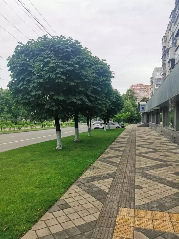 3-к кв. Краснодарский край, Краснодар Фестивальный мкр, ул. Яна ... - Фото 2