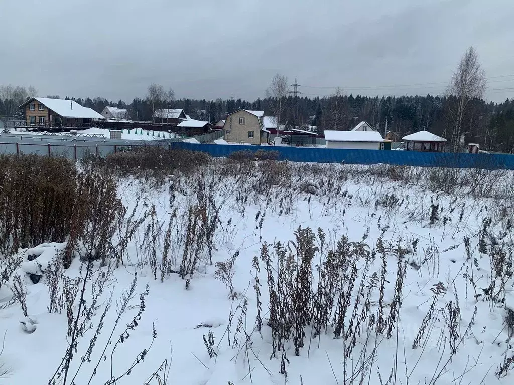 Участок в Московская область, Солнечногорск городской округ, д. ... - Фото 1