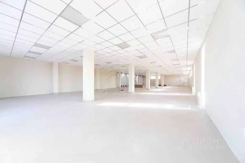 Торговая площадь в Московская область, Ступино городской округ, ... - Фото 1