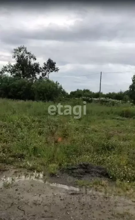 Участок в Сахалинская область, Анивский городской округ, с. ... - Фото 1