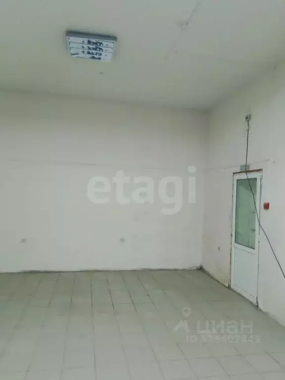 Торговая площадь в Краснодарский край, Северский район, Смоленское ... - Фото 2