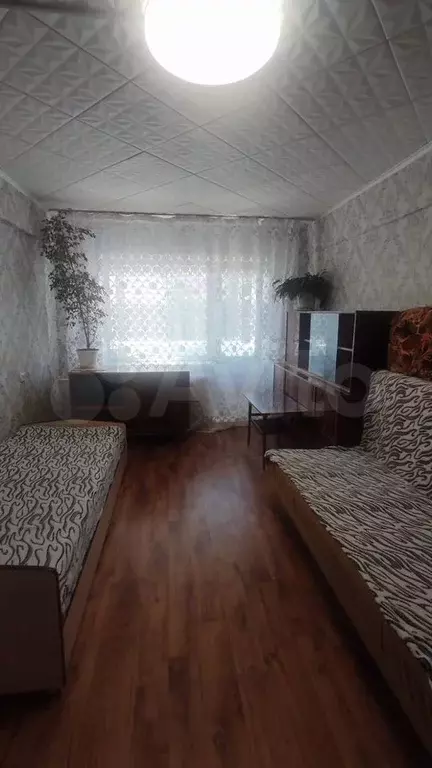 1-к. квартира, 30,5 м, 2/5 эт. - Фото 1