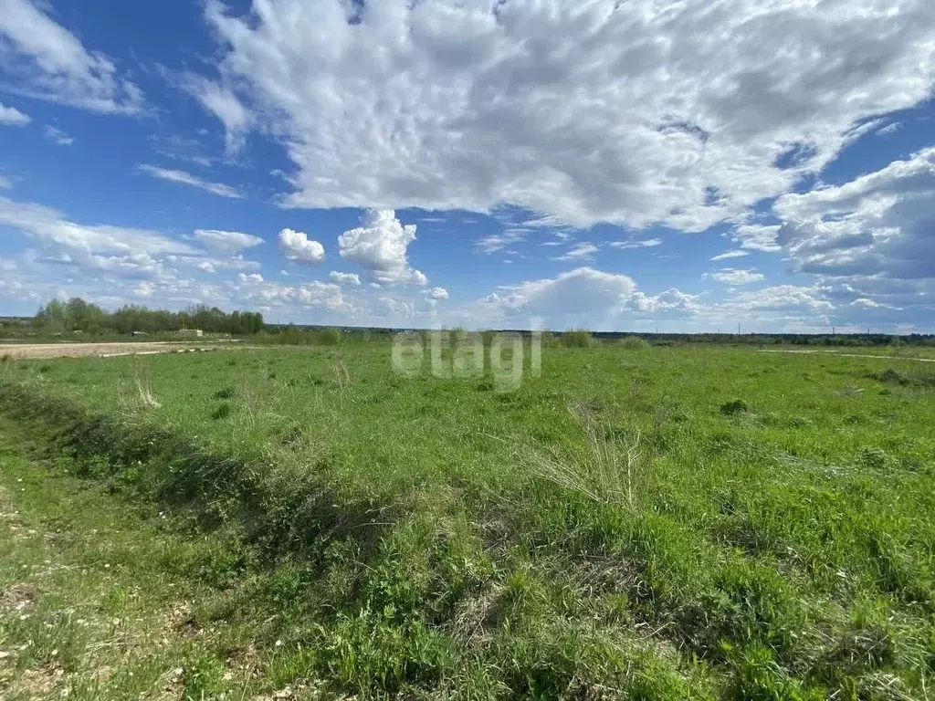Участок в Архангельская область, Котласский муниципальный округ, д. ... - Фото 1