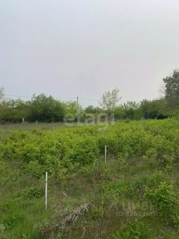 Участок в Ростовская область, Батайск ул. Максима Горького (5.8 сот.) - Фото 1