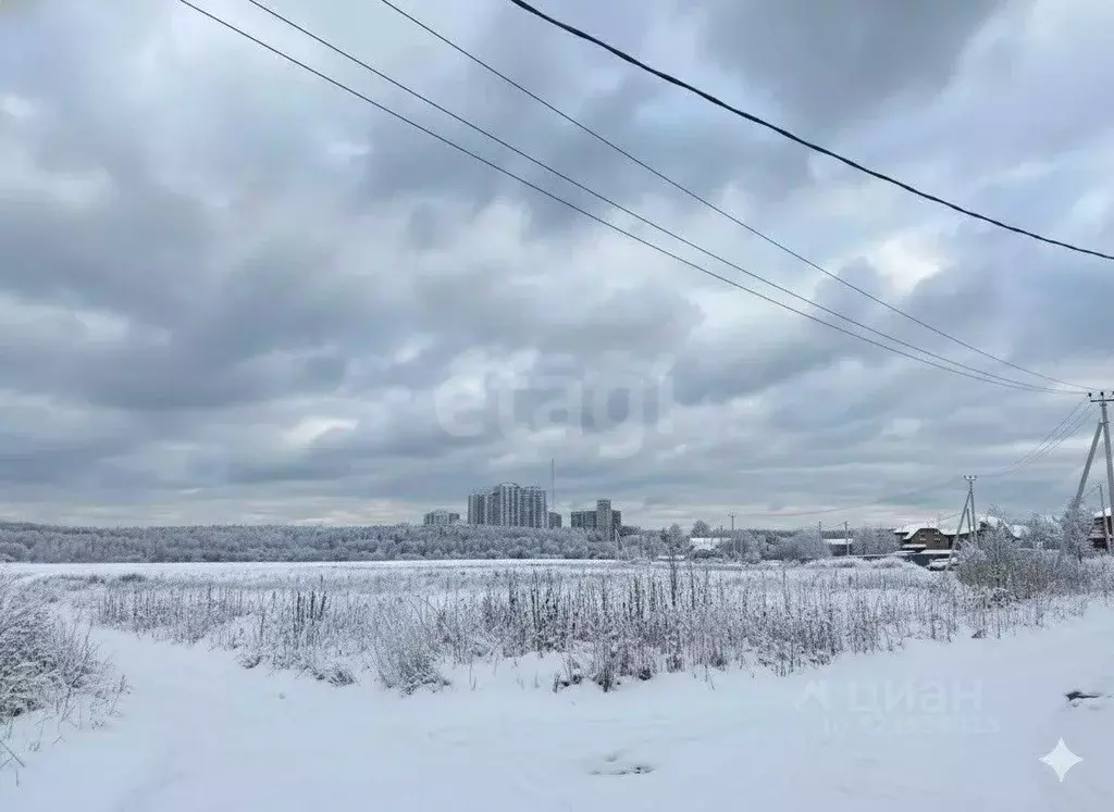 Участок в Калужская область, Боровский муниципальный округ, Кривское ... - Фото 1