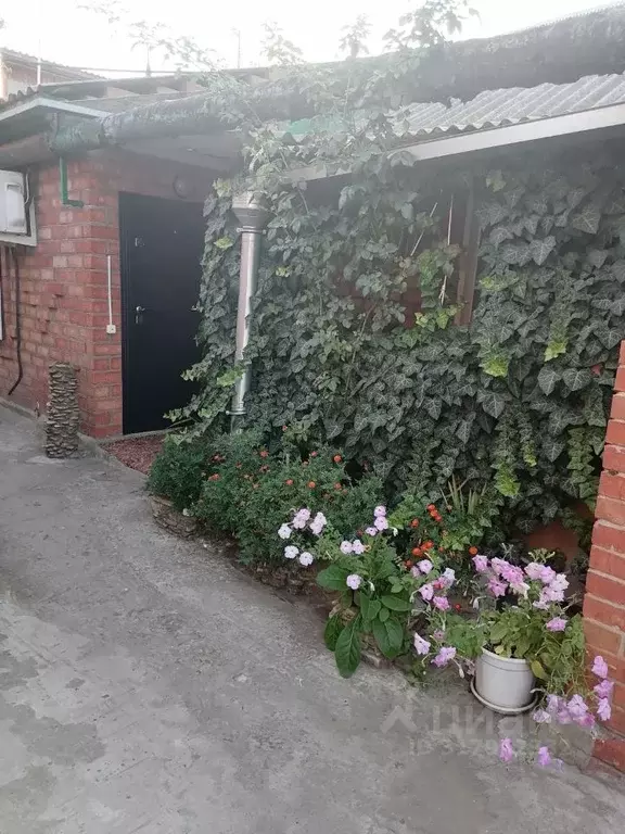 Дом в Краснодарский край, Ейск Краснодарская ул., 56 (50 м) - Фото 0