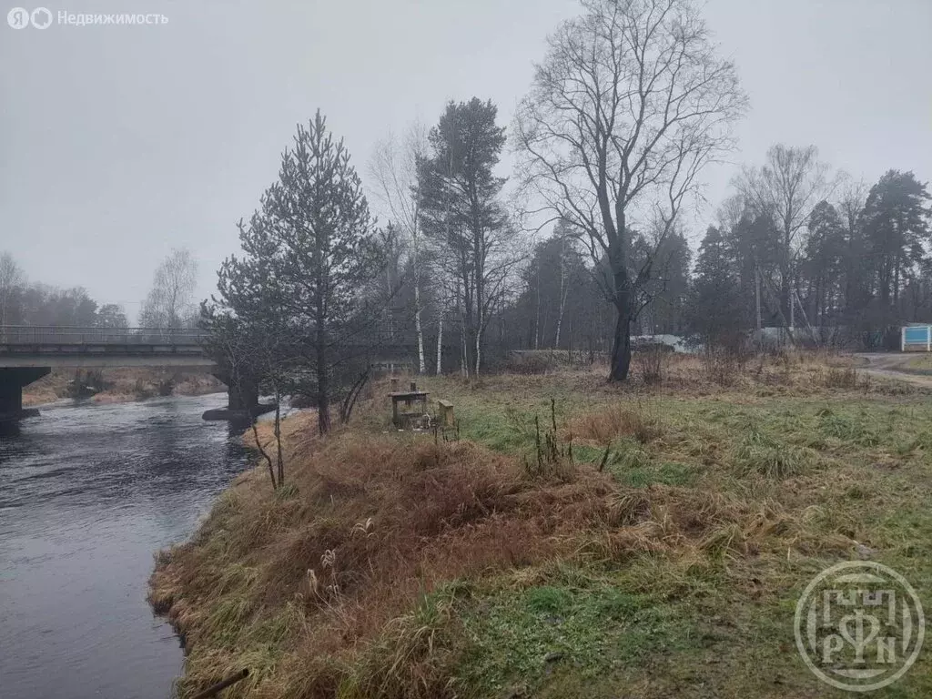 Участок в Вырица, улица Румянцева (20 м) - Фото 1