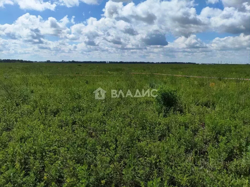 Участок в Тамбовская область, Тамбовский муниципальный округ, пос. ... - Фото 0