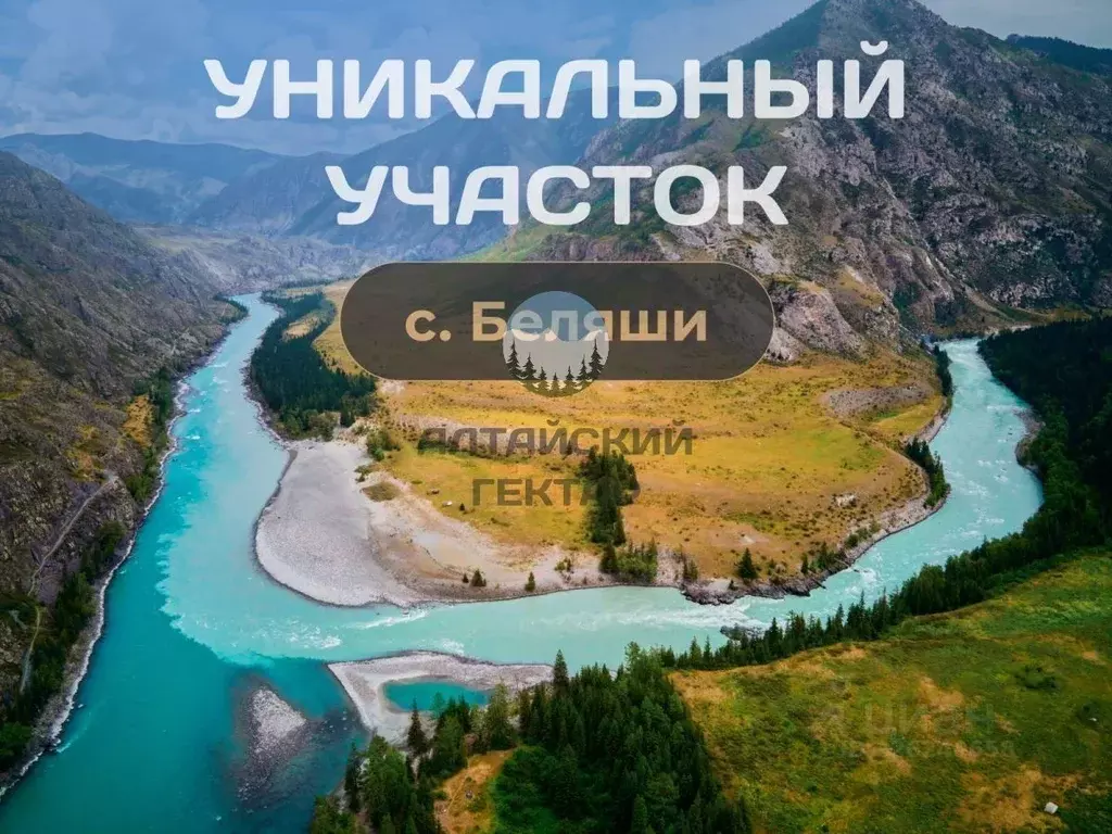 Участок в Алтай, Кош-Агачский район, Джазаторское с/пос, с. Беляши ул. ... - Фото 1