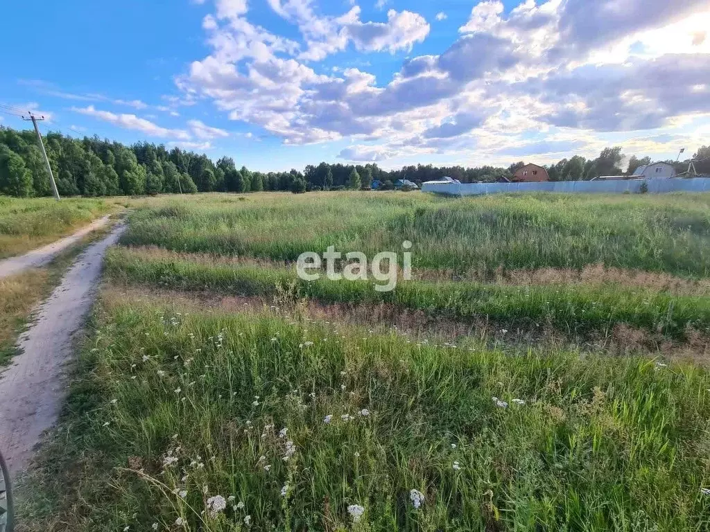Участок в Владимирская область, Покров городской округ, д. Барсково ... - Фото 2