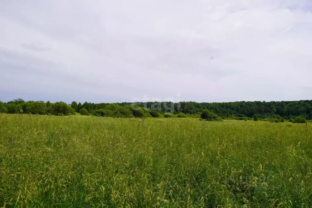 Участок в Кемеровская область, Новокузнецкий муниципальный округ, с. ... - Фото 1