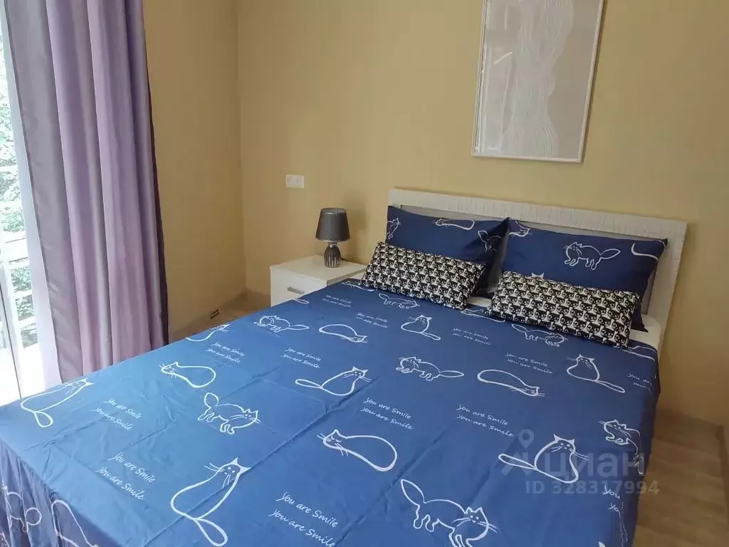 Студия Краснодарский край, Сочи Сухумское ш., 29Б (26.0 м) - Фото 1