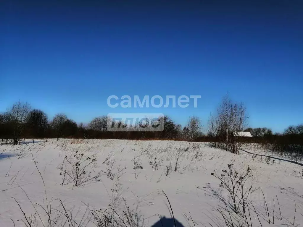 Участок в Ярославская область, Переславль-Залесский муниципальный ... - Фото 2