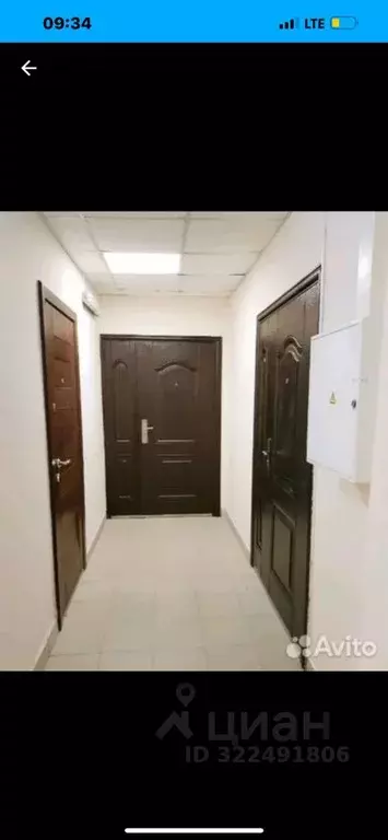 Офис в Новосибирская область, Новосибирск ул. Дуси Ковальчук, 250 (88 ... - Фото 2