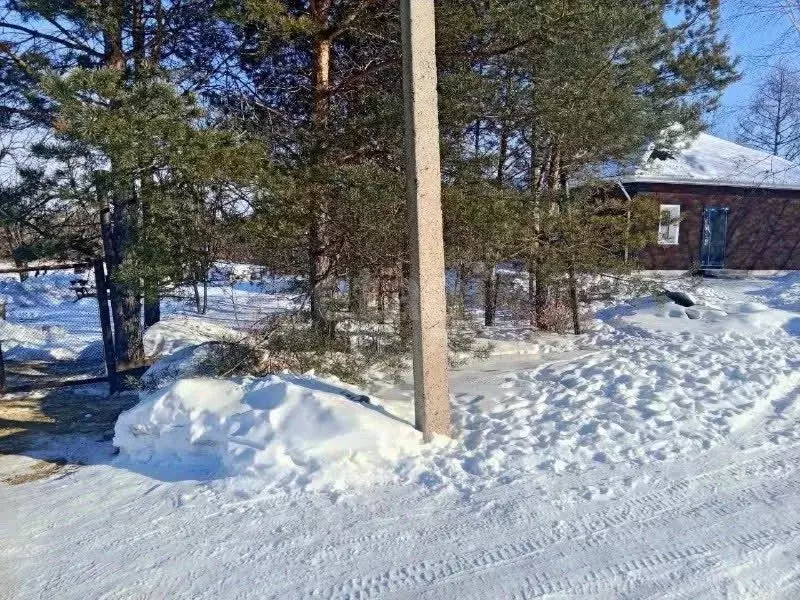 Участок в Амурская область, Благовещенский район, с. Игнатьево ... - Фото 2
