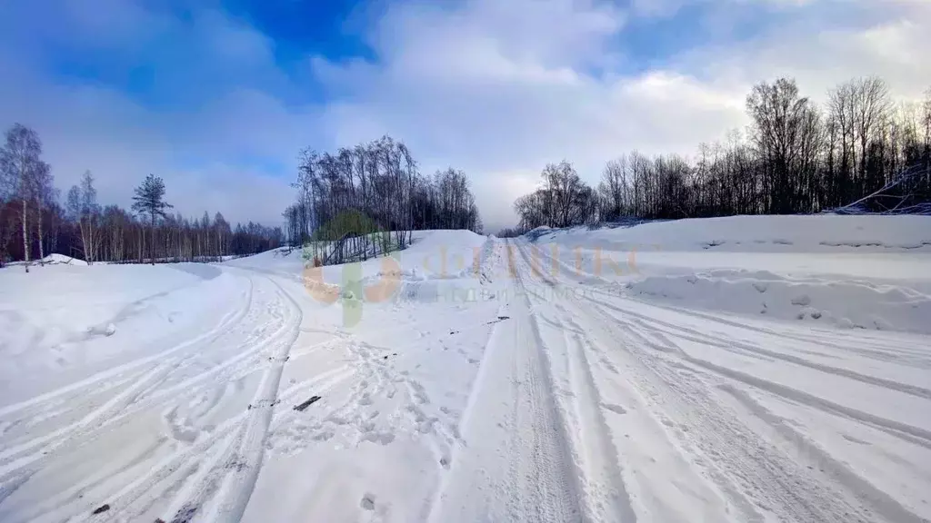 Участок в Ленинградская область, Всеволожский район, Колтушское ... - Фото 1