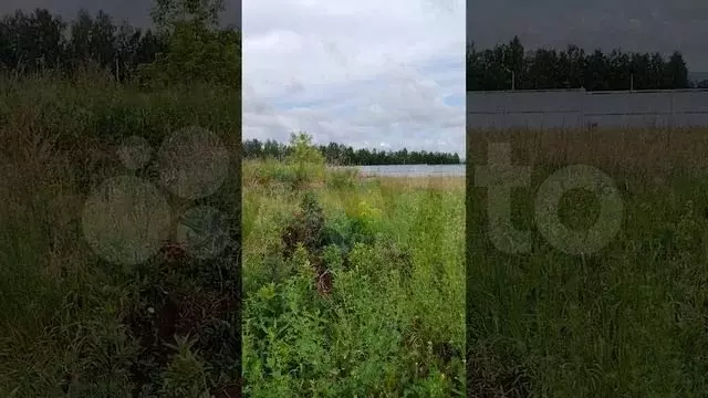Участок 11,6 сот. (ИЖС) - Фото 1