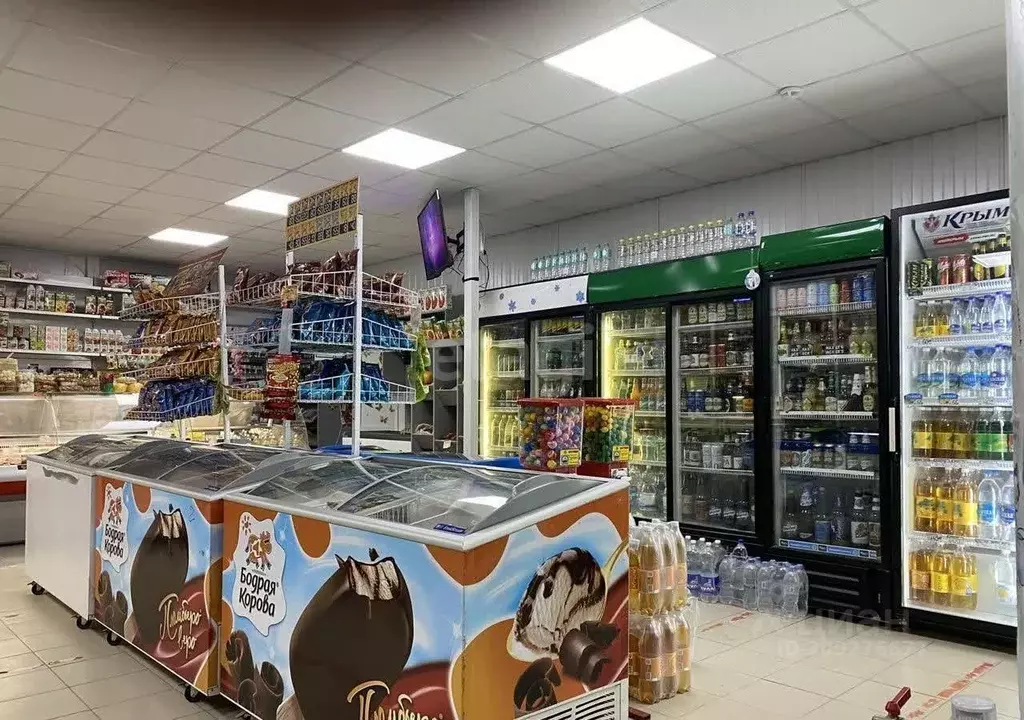 Торговая площадь в Крым, Сакский район, с. Молочное  (100 м) - Фото 1