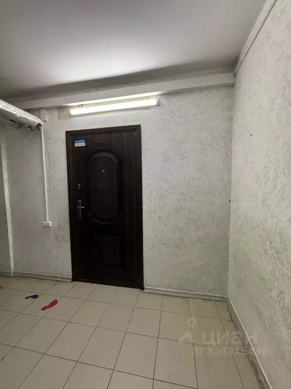 Помещение свободного назначения в Краснодарский край, Краснодар ул. ... - Фото 1