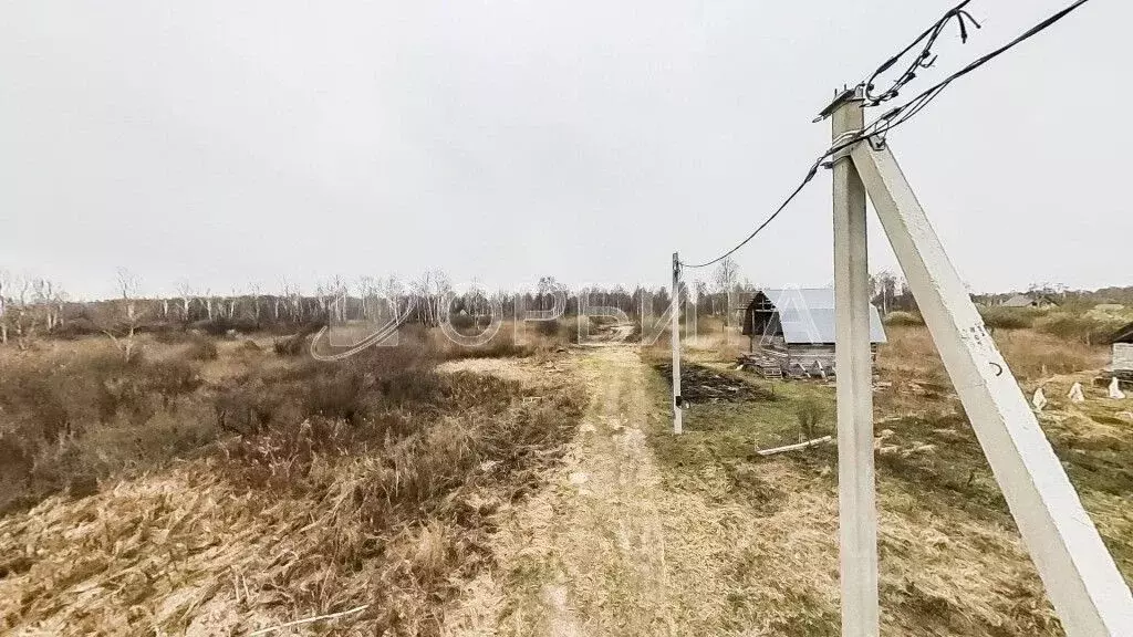 Участок в Тюменская область, Нижнетавдинский район, Строитель ТСН  ... - Фото 1