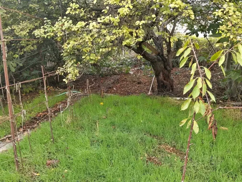 Участок в Севастополь Прогресс садоводческое товарищество,  (6.3 сот.) - Фото 1