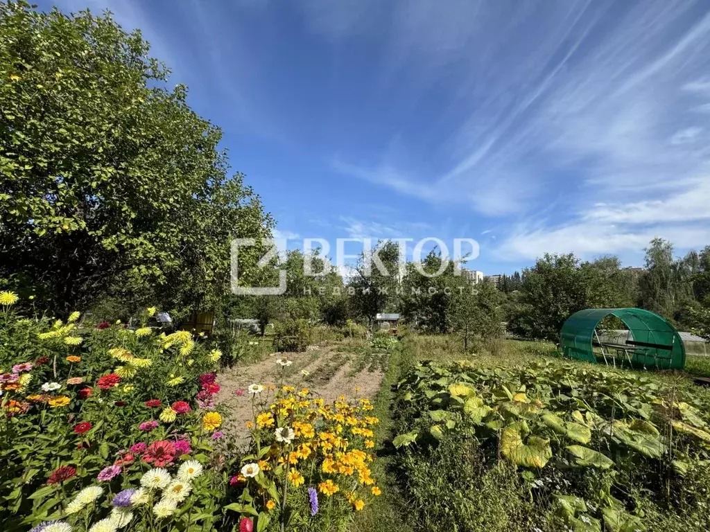 Участок в Костромская область, Кострома Прогресс СНТ, 129 (13.0 сот.) - Фото 2
