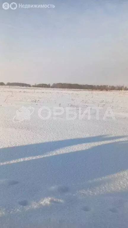 Участок в Тюменский муниципальный округ, товарищество собственников ... - Фото 1