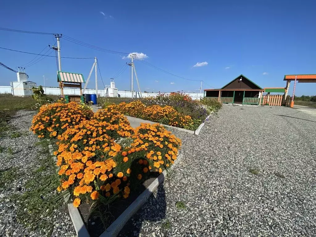 Участок в Свердловская область, Екатеринбург Челябинский тракт, 19-й ... - Фото 1