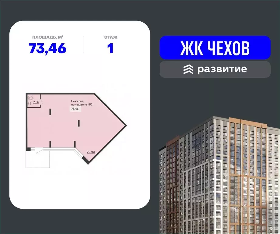 Помещение свободного назначения в Воронежская область, Воронеж ул. ... - Фото 0