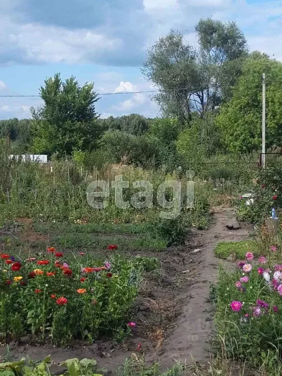 Дом в Липецкая область, Грязинский район, Карамышевский сельсовет, с. ... - Фото 0