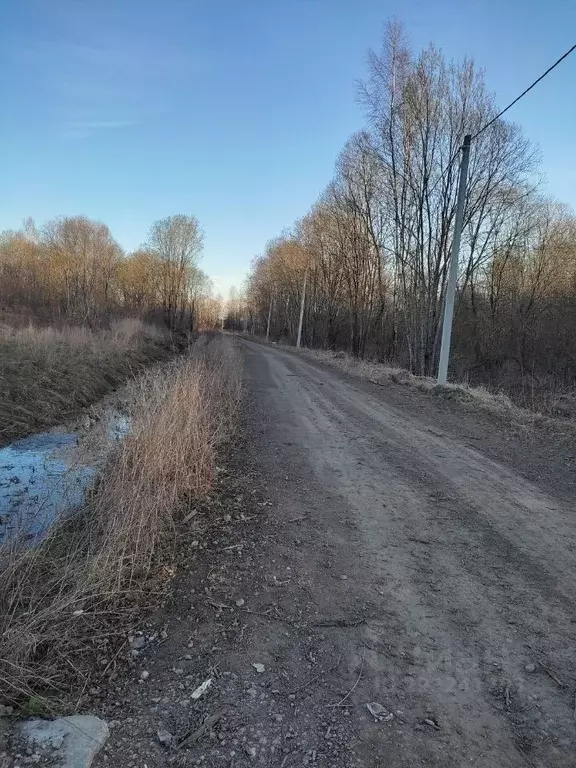 Участок в Новгородская область, Новгородский район, Савинское с/пос, ... - Фото 1