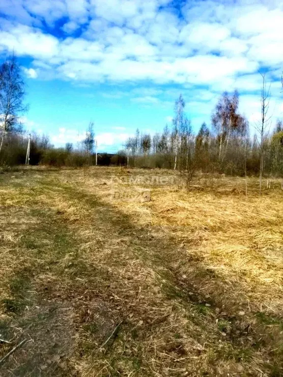 Участок в Новгородская область, Великий Новгород Псковская ул. (6.3 ... - Фото 0