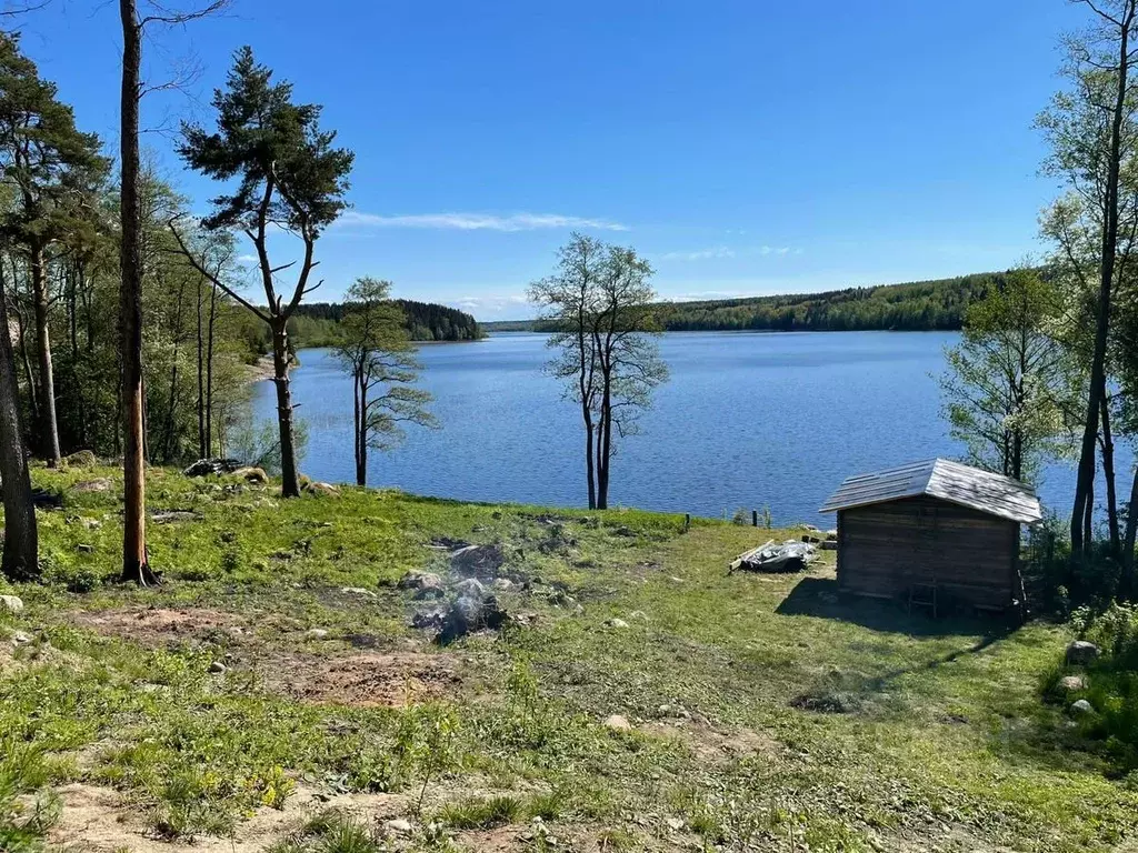 Участок в Ленинградская область, Выборгский район, Полянское с/пос, ... - Фото 2