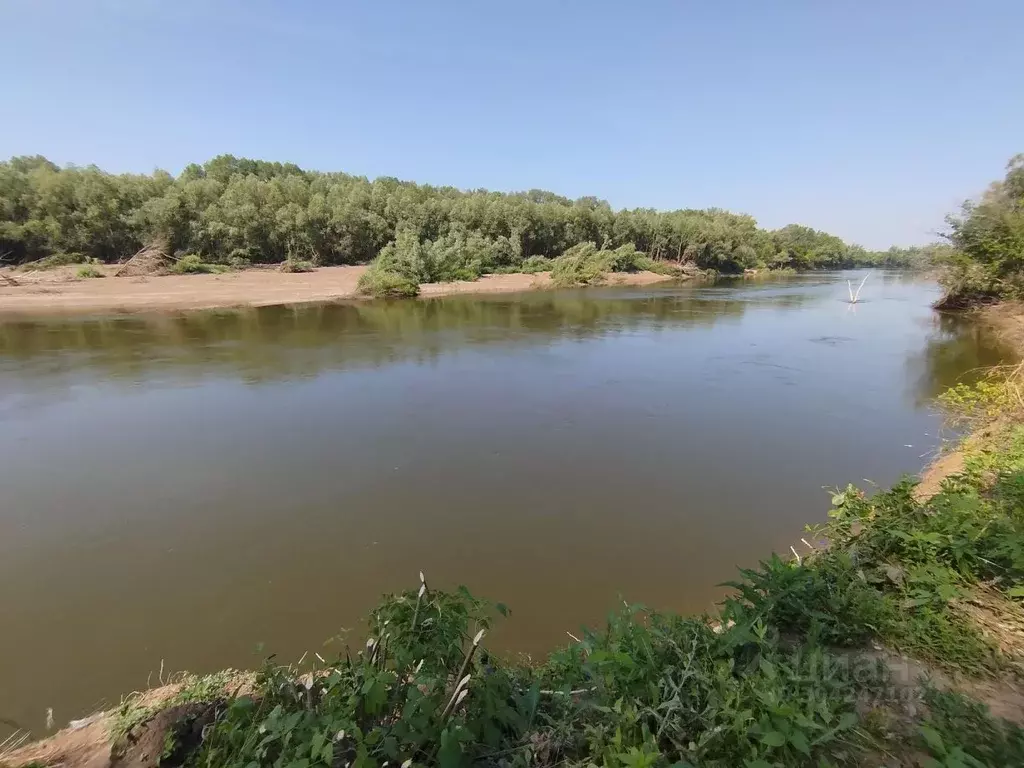 Участок в Оренбургская область, Оренбург Овчинный городок мкр, ул. ... - Фото 1